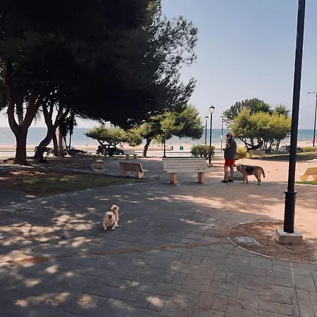 50 Pasos Hacia El Mar * El Campello